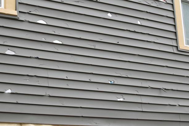 Best Aluminum Siding Installation  in Lake Elmo, MN